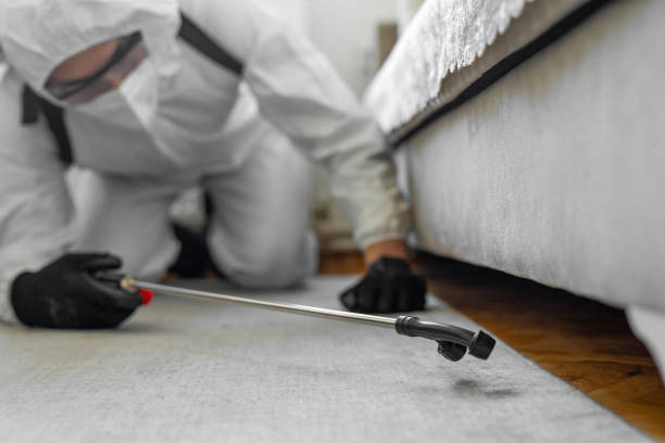 Professional Mosquito Control technician working in Sunset Beach, NC