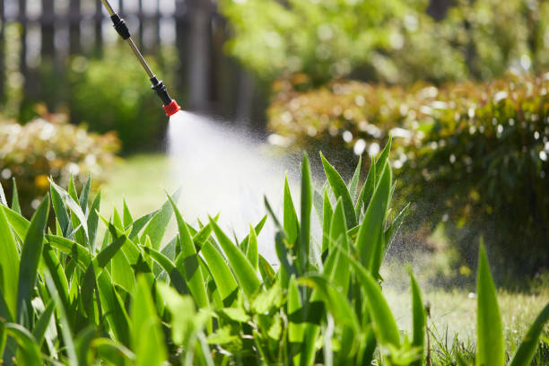 24/7 Emergency Mosquito Control experts in Sunset Beach, NC
