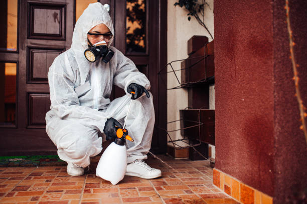 Reliable Mosquito Control contractor in Sunset Beach, NC by Nex Pest Control